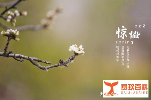 七绝：惊蛰/新韵