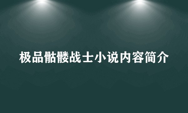 极品骷髅战士小说内容简介