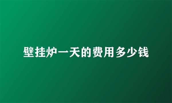 壁挂炉一天的费用多少钱