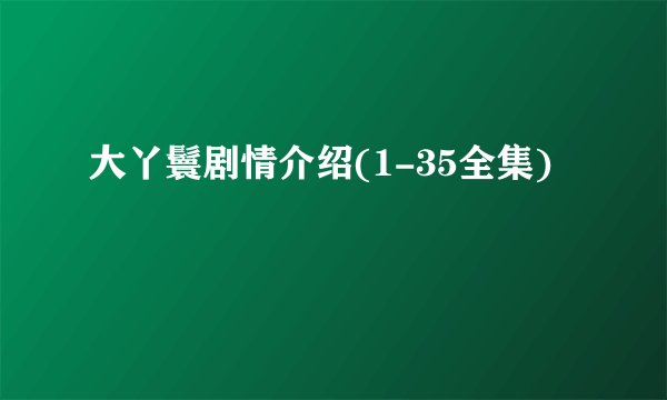 大丫鬟剧情介绍(1-35全集)