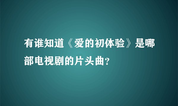 有谁知道《爱的初体验》是哪部电视剧的片头曲？