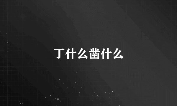 丁什么凿什么