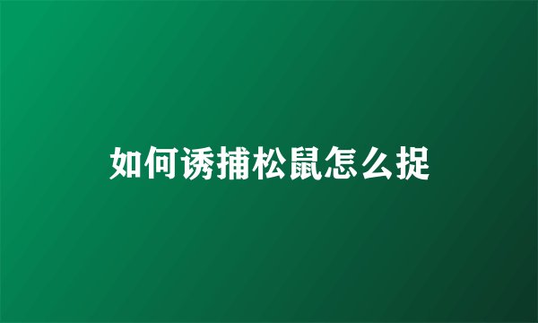 如何诱捕松鼠怎么捉