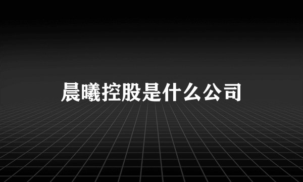 晨曦控股是什么公司