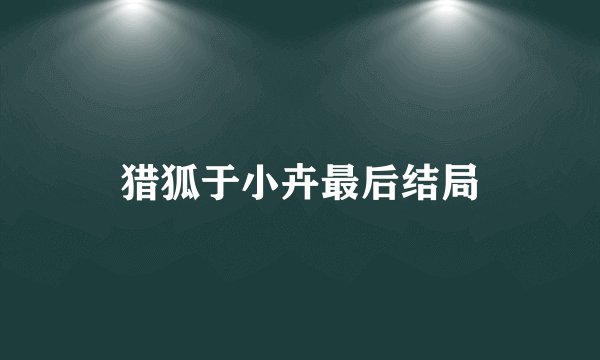 猎狐于小卉最后结局