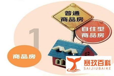 什么是自住房，自住房的申请流程是什么？
