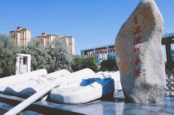 湟川中学哪些老师比较牛？