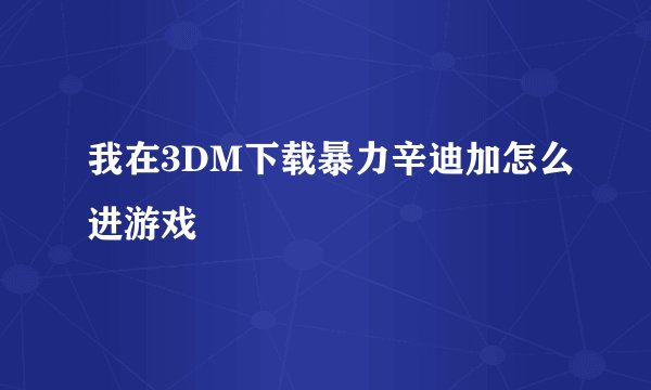 我在3DM下载暴力辛迪加怎么进游戏