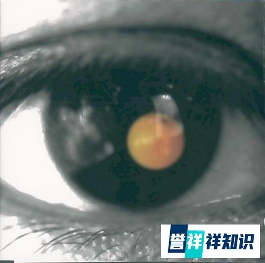 98-10陶喆历届金曲奖入围/获奖全汇总