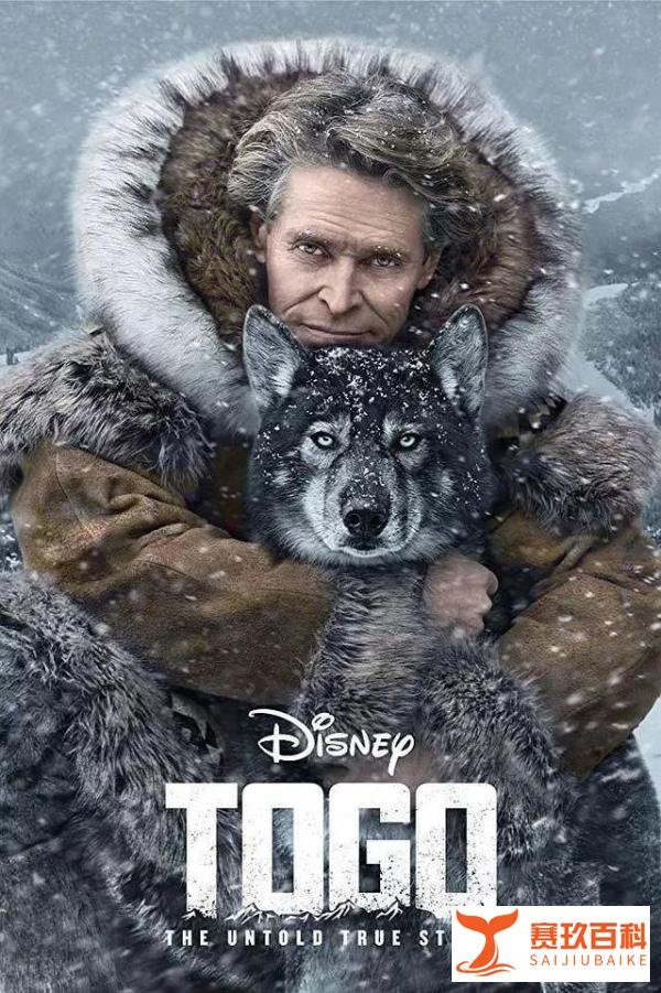 迪士尼复活感人大片《多哥》，神犬在暴雪中的惊心动魄