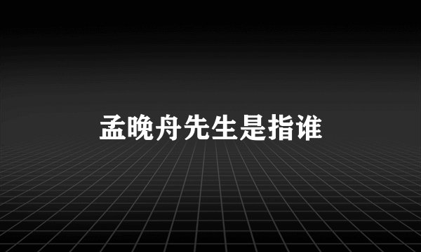 孟晚舟先生是指谁