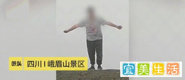 张家界景区4人集体跳崖：那个一心求死的人，早已被杀过无数次