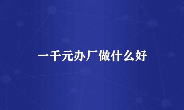 一千元办厂做什么好