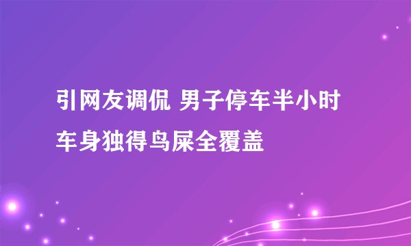 引网友调侃 男子停车半小时车身独得鸟屎全覆盖