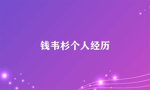 钱韦杉个人经历
