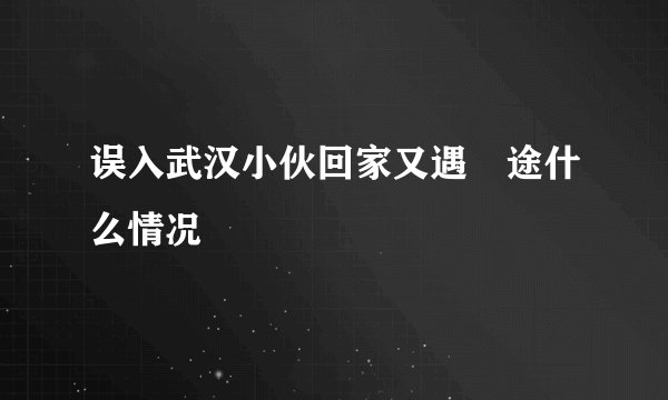 误入武汉小伙回家又遇囧途什么情况