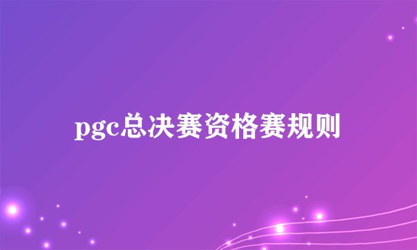 pgc总决赛资格赛规则