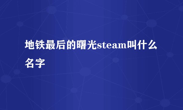 地铁最后的曙光steam叫什么名字