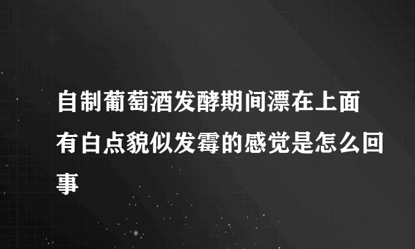 自制葡萄酒发酵期间漂在上面有白点貌似发霉的感觉是怎么回事