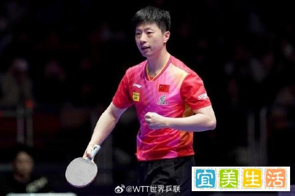 CCTV5直播世乒赛，3-1横扫日本张本智和，中国队3-0轻取日本队