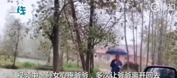 孙女返程爷爷雨中相送不肯离开 网友纷纷泪目