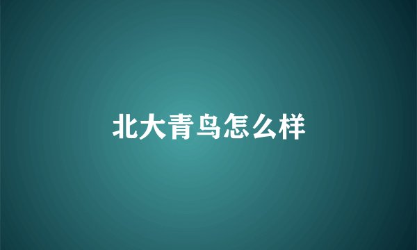 北大青鸟怎么样
