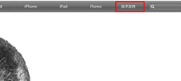 iPad mini激活时间查询