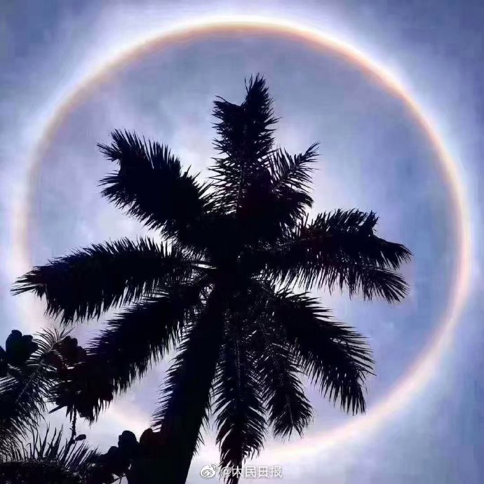 南方多地出现日晕景观,这是一种什么现象?
