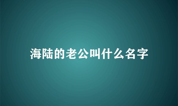 海陆的老公叫什么名字