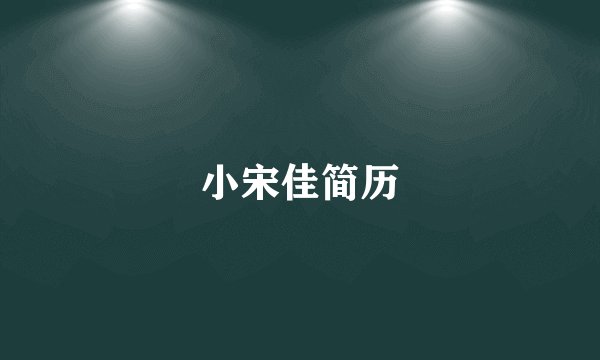 小宋佳简历
