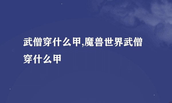 武僧穿什么甲,魔兽世界武僧穿什么甲