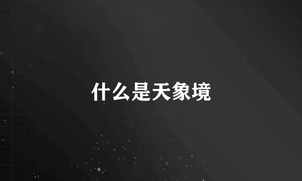 什么是天象境