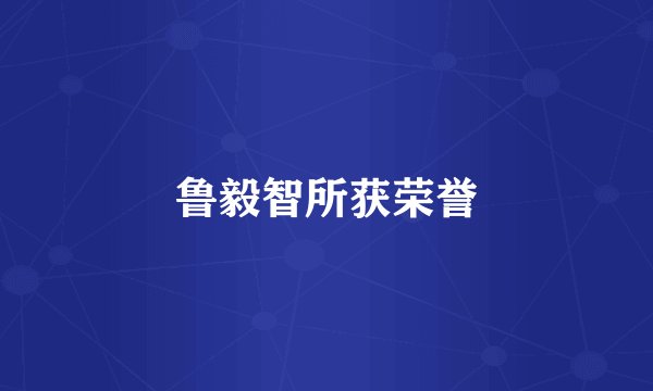 鲁毅智所获荣誉