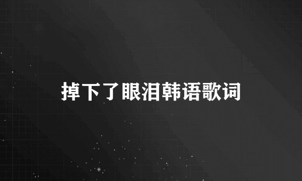 掉下了眼泪韩语歌词