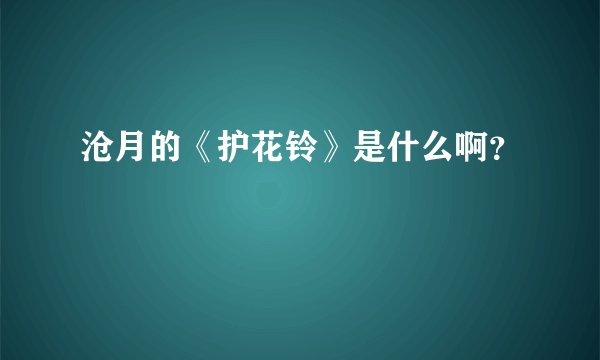 沧月的《护花铃》是什么啊？