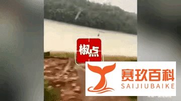 湘潭一名男子划龙舟时遭雷击后失联,网友戏称灵异事件