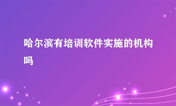 哈尔滨有培训软件实施的机构吗