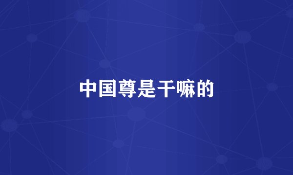 中国尊是干嘛的