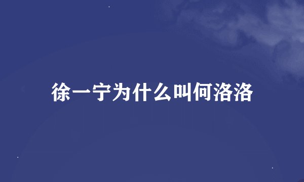 徐一宁为什么叫何洛洛