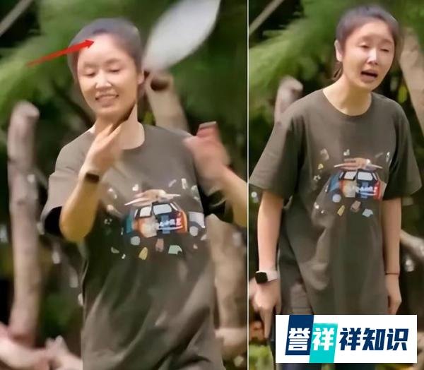 47岁的林心如，素颜挺大肚打球，高龄产子反而被嘲生育机器！
