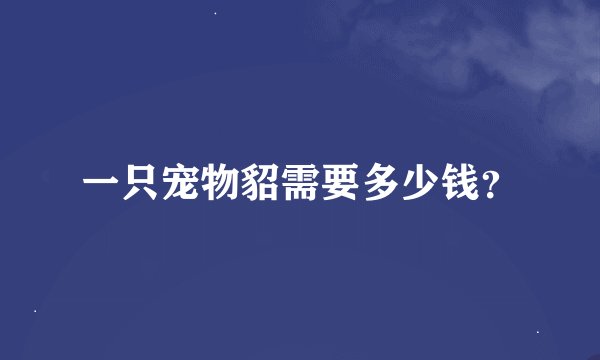 一只宠物貂需要多少钱？