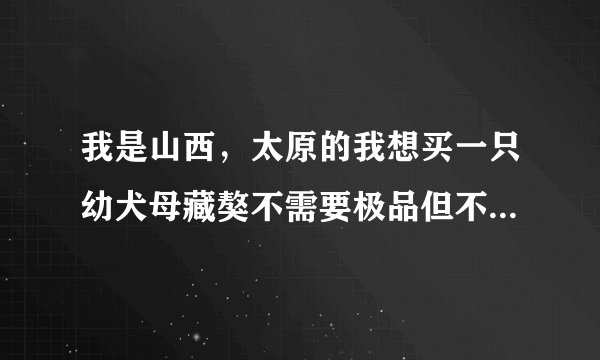 我是山西，太原的我想买一只幼犬母藏獒不需要极品但不要串串，请问大概多钱了~~