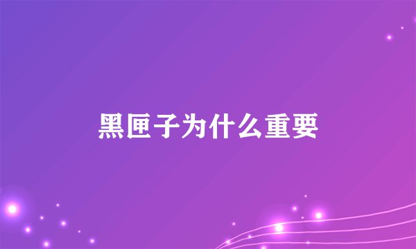 黑匣子为什么重要