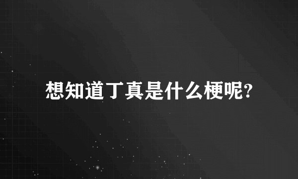 想知道丁真是什么梗呢?