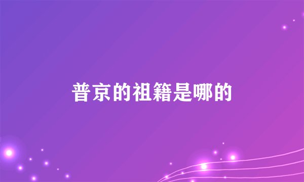 普京的祖籍是哪的