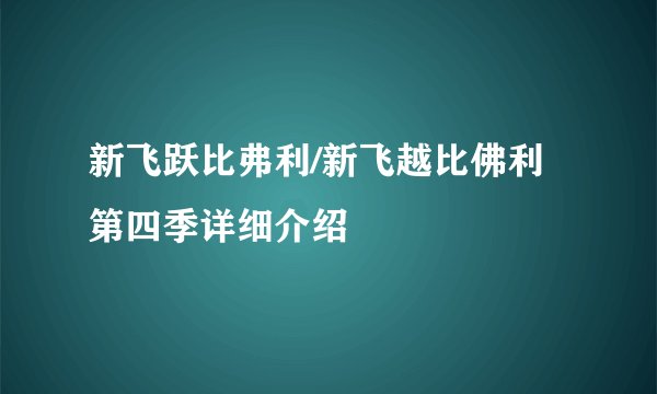 新飞跃比弗利/新飞越比佛利第四季详细介绍