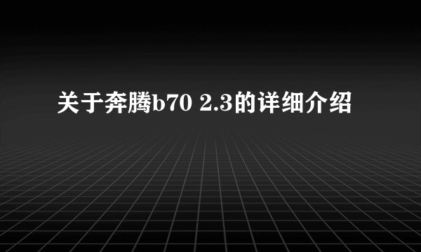 关于奔腾b70 2.3的详细介绍