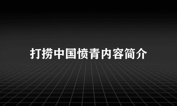 打捞中国愤青内容简介