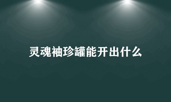 灵魂袖珍罐能开出什么