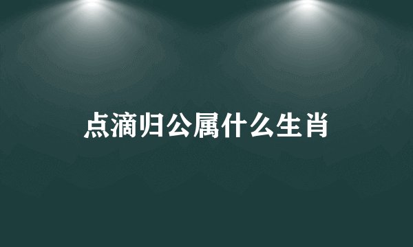 点滴归公属什么生肖